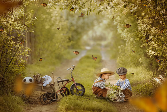 free butterflies photoshop overlays