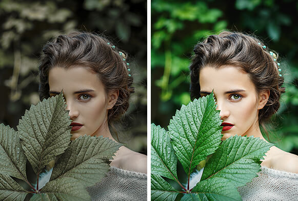 Film Lightroom Presets Cover