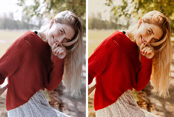 India Earl Presets-Cover