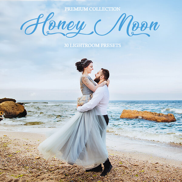 banner lr presets honey moon collection