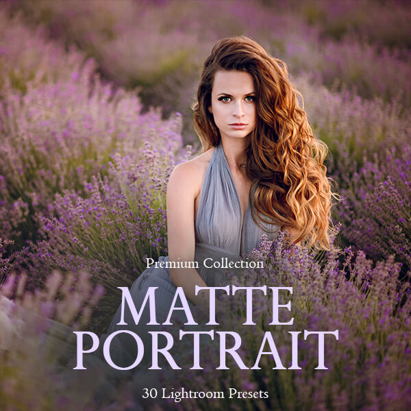 banner lr presets matte portrait collection