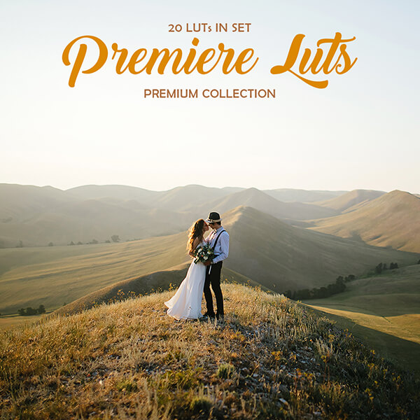 bannière professionnel premiere luts