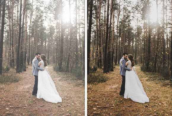 Twig und Olive Presets Cover